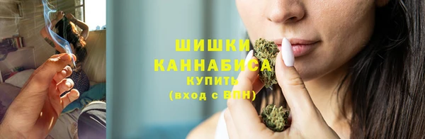 PSILOCYBIN Богородицк