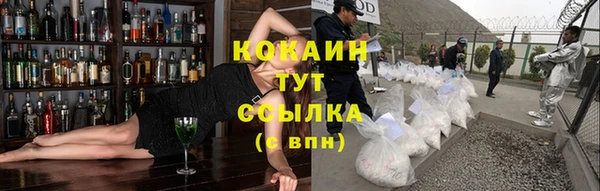 PSILOCYBIN Богородицк
