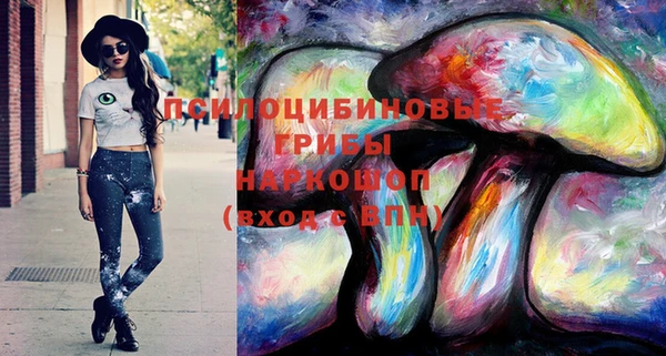 PSILOCYBIN Богородицк