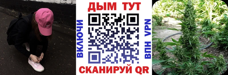 omg как войти  Корсаков  Канабис VHQ 